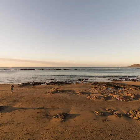 Home2book Design Cool Center Palmas Appartamento *